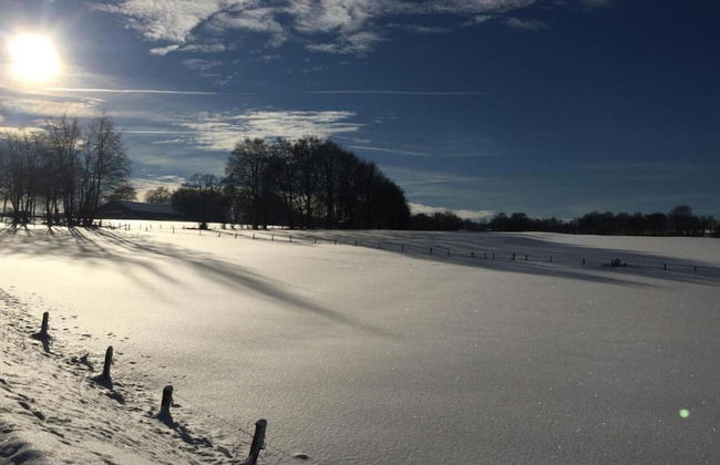 Holiday Home in Saint Vith With Terrace - Photo 40