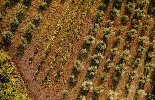 Borgo San Pecoraio Resort - Foto 18