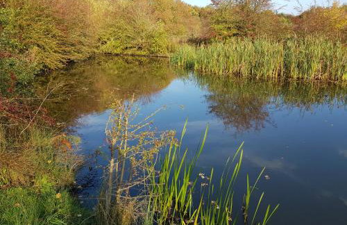 Chatterley House - Foto 119