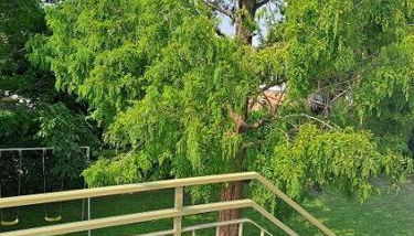 Da Marcella - Foto 2