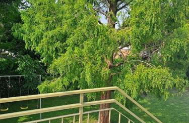 Da Marcella - Foto 2