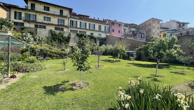 Apartment Il Ghiro by Interhome - Photo 2, Terrace