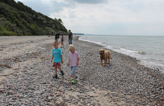 Modern Eingerichtetes Ferienhaus in Strandnahe - Foto 12