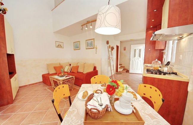 Dino - Gorgeous Garden - SA2 Jelsa - Photo 15