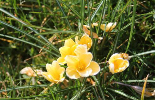 Ferienwohnung "Eifelstueffje" - Foto 61