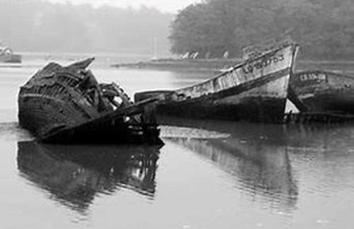 Le Krogen - Photo 38