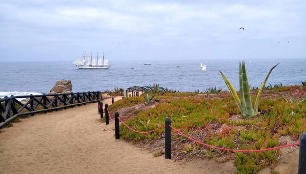 Valparaíso & Viña del Mar Day Trip - Foto 4