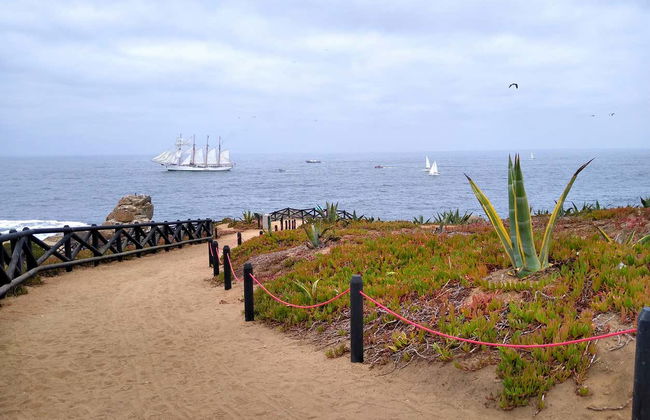 Tour por Valparaíso y Viña del Mar - Foto 4