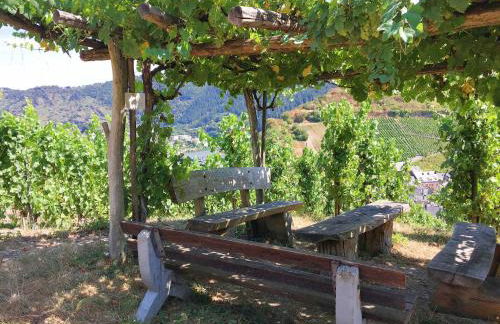 Ferienwohnungen Merl - Foto 11