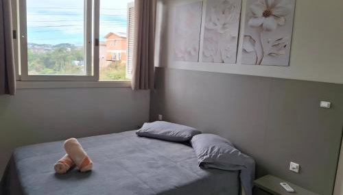 Ap Cabernet 2 - Foto 5