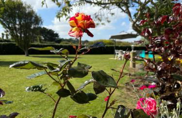 Le Gîte de la Baie du Kernic - Foto 76
