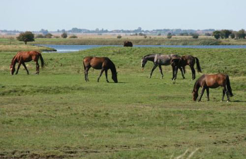 Ostseestuev - Foto 49