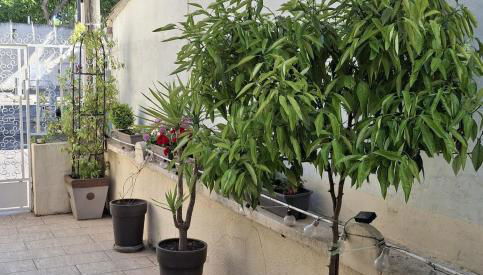 Mistral Appartements - Foto 5