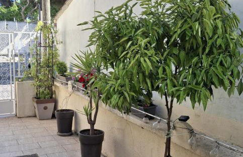 Mistral Appartements - Foto 5