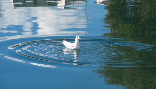 Beachfront Penthouse with Seaview - Foto 2