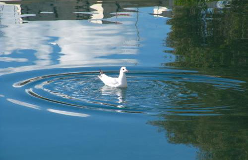 Beachfront Penthouse with Seaview - Foto 2