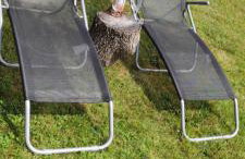 Apartament nad Gorczańskim Strumieniem - Foto 26