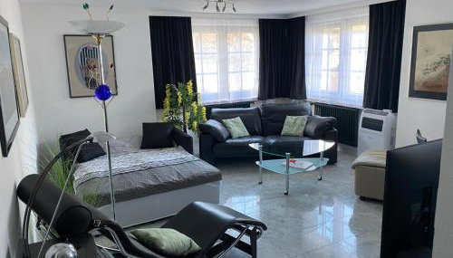 Excl Ferienwohnung im Dreiländereck D-F-CH mit beheiztem kl Pool zum Schwimmen und Massieren - Foto 4