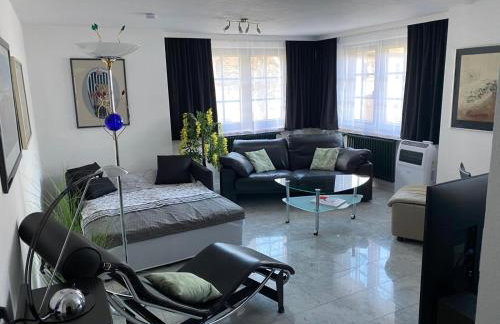 Excl Ferienwohnung im Dreiländereck D-F-CH mit beheiztem kl Pool zum Schwimmen und Massieren - Foto 4