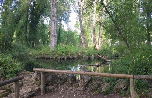 Casa Rural Nacimiento del Hueznar - Tomillo 17 - Foto 24