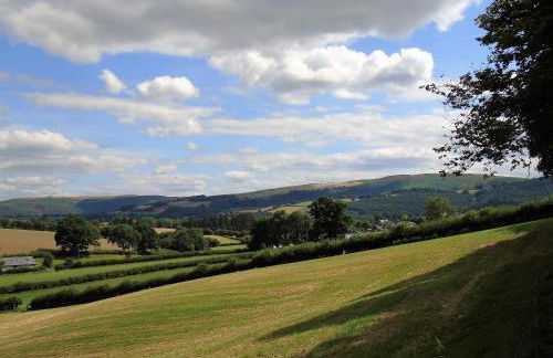 Pwllgwilym B & B - Foto 54