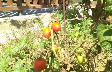 Eden Garden Luxury Loft near Knossos - Photo 40