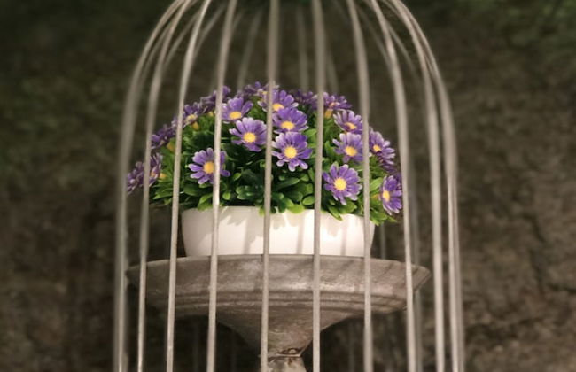 Casa da fonte - Foto 42