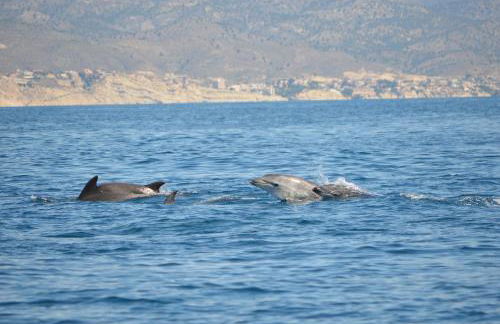 Villa María - Photo 8