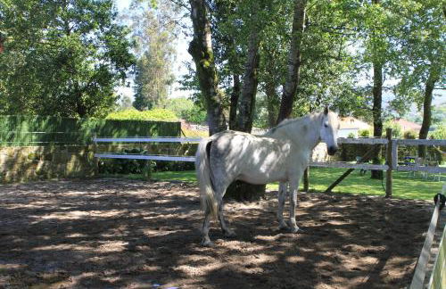 Casa de São Silvestre - Foto 8
