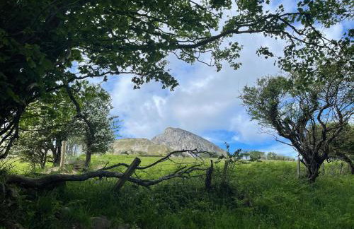 Mynydd A Môr - Foto 29