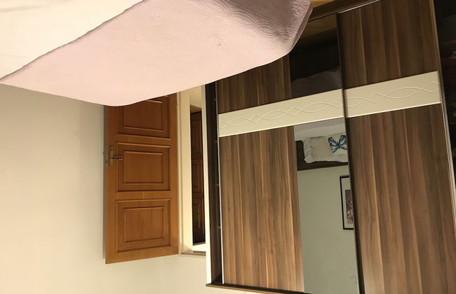 Orange Garden - Foto 2