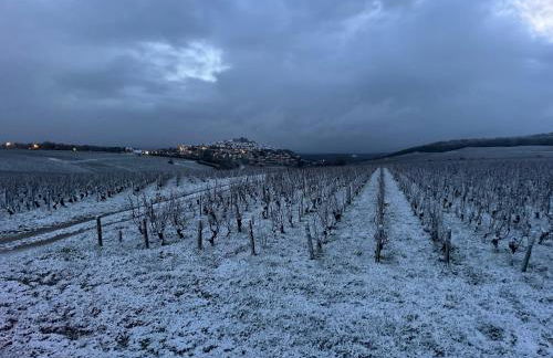 Maison Palomase en plein cœur de Sancerre - Foto 2