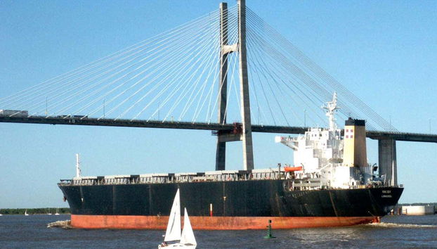 Barco cruzando el puente Rosario - Victoria