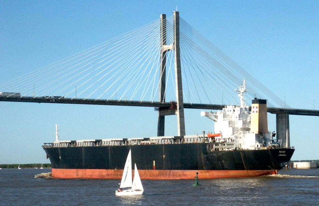 Balade en bateau à moteur sur le fleuve Paraná - Photo 5