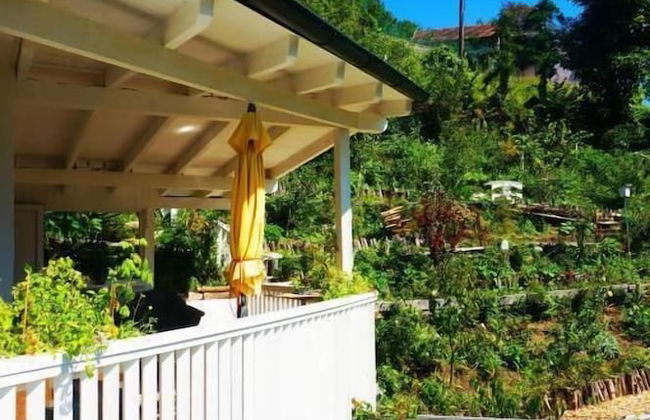 Ferienhaus BLACK & WHITE - Photo 60