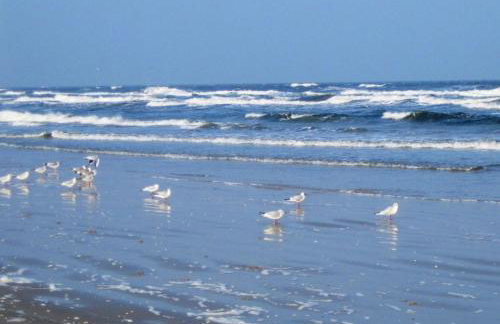 Landhaus Krummin - Foto 54