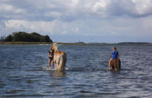 Kleines Landhaus Kopendorf - Foto 26