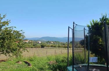 Casa dos pássaros - Foto 31