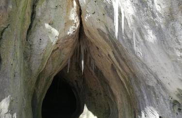 Apfelbluete und Paradies - Foto 21