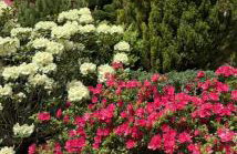 Willa Wierchy - Foto 75