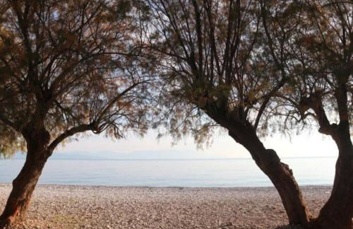 Anestis Apartment - Foto 28