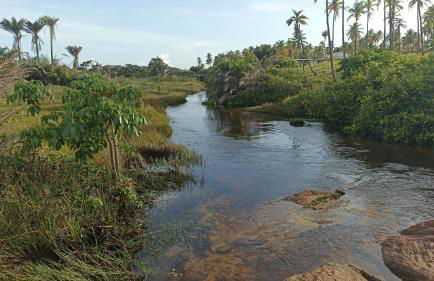Aconchego da Jandaia - Foto 41