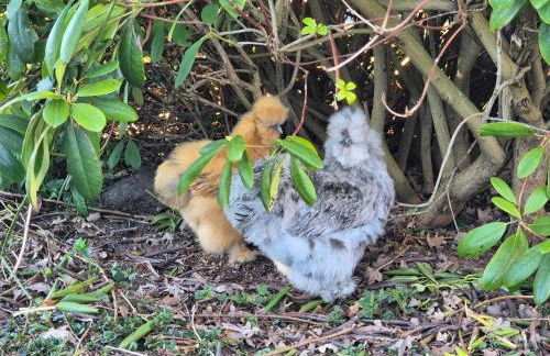 Gemütliche Wohnung direkt am Küstenkanal! - Foto 35