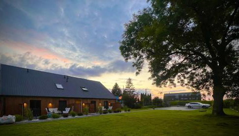 Nova - Foto 1, Garden, Garden view