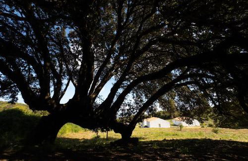 Agriturismo Cultisia Luogosanto - Foto 18