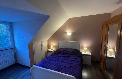 Logement à côté de la station de ski le Lioran dans le Cantal - Foto 1