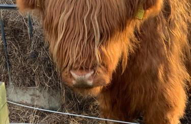 The Ploughman's Poet - Photo 34