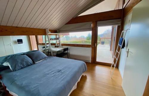 Saint-Jorioz, villa , terrasse 8pers - Photo 11