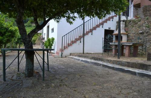 Quinta do Santo no Douro - Casa T3 - Foto 15