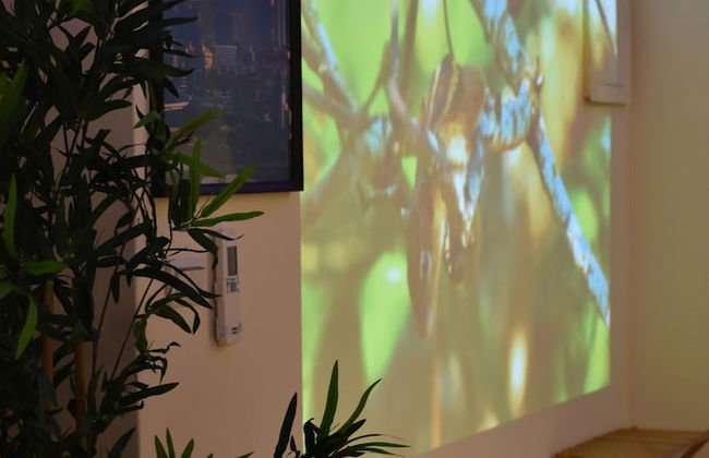 Susan's BNB - Photo 11